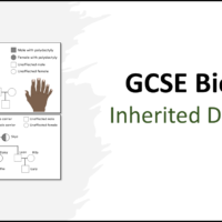 GCSE Biology Topic 6 Inherited Disorders