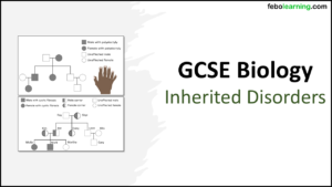 GCSE Biology Topic 6 Inherited Disorders