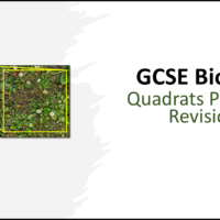 Title GCSE Biology Topic 6 Quadrats Practical Revision