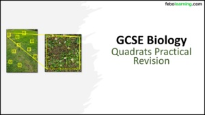 Link to next lesson: GCSE Biology Topic 6 Quadrats Practical Revision