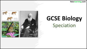 GCSE Biology Topic 6 Speciation Lesson