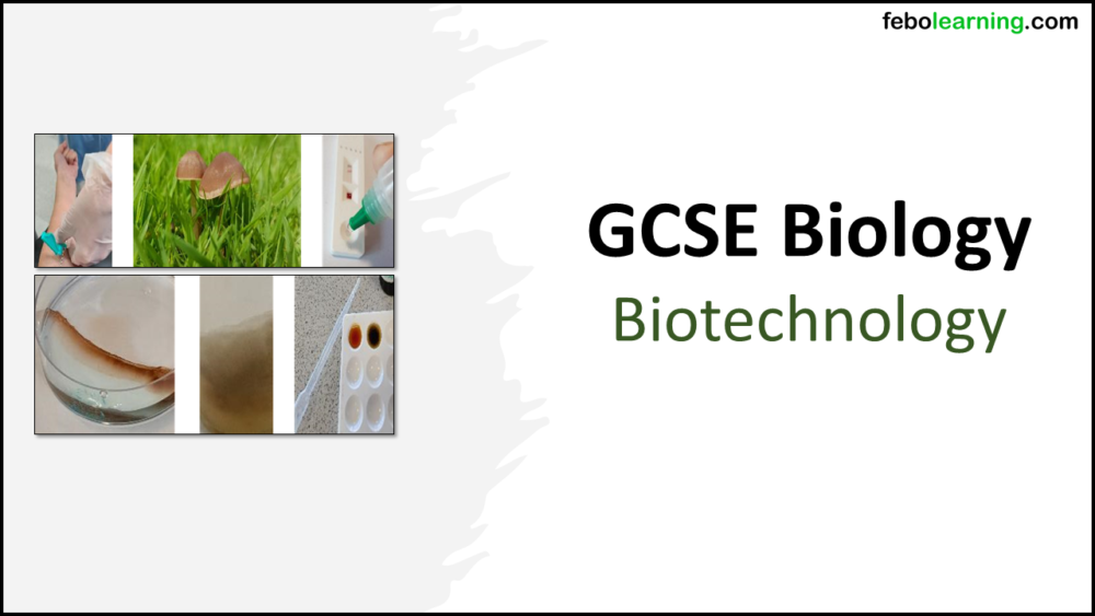 Title GCSE Biology Topic 7 Biotechnology
