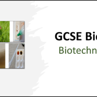 Title GCSE Biology Topic 7 Biotechnology