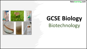Title GCSE Biology Topic 7 Biotechnology