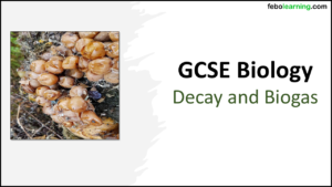 Title GCSE Biology Topic 7 Decay and Biogas