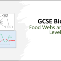 GCSE Biology Topic 7 Food Chains and Trophic Levels