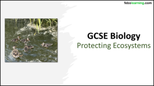 GCSE Biology Topic 7 Protecting Ecosystems