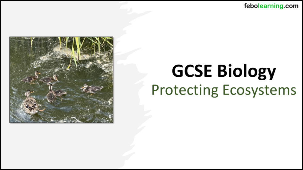 Title GCSE Biology Topic 7 Protecting Ecosystems Title GCSE Biology Topic 7 Protecting Ecosystems