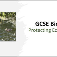 Title GCSE Biology Topic 7 Protecting Ecosystems Title GCSE Biology Topic 7 Protecting Ecosystems