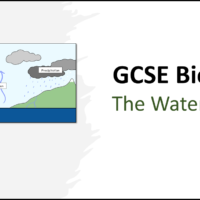 Title GCSE Biology Topic 7 The Water Cycle