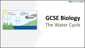 Title GCSE Biology Topic 7 The Water Cycle