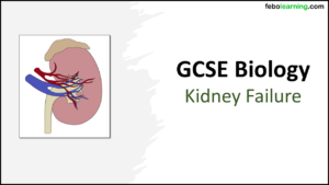 GCSE Biology Topic 5: Kidney Failure title slide