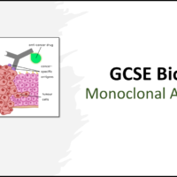 GCSE Biology Topic 3: Monoclonal Antibodies Title Slides