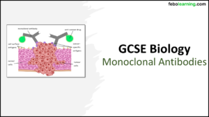 GCSE Biology Topic 3: Monoclonal Antibodies Title Slides