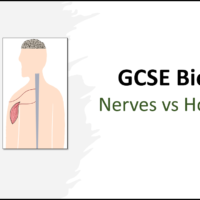 GCSE Biology Topic 5: Comparing Nerves and Hormones title slide