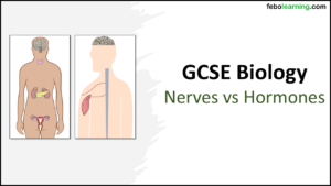 GCSE Biology Topic 5: Comparing Nerves and Hormones title slide
