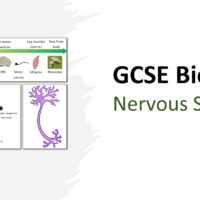 GCSE Biology Topic 5: Title slide