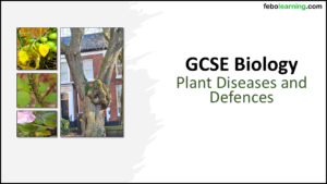 GCSE Biology Topic 3: Plant Disease and Defences Title Slide