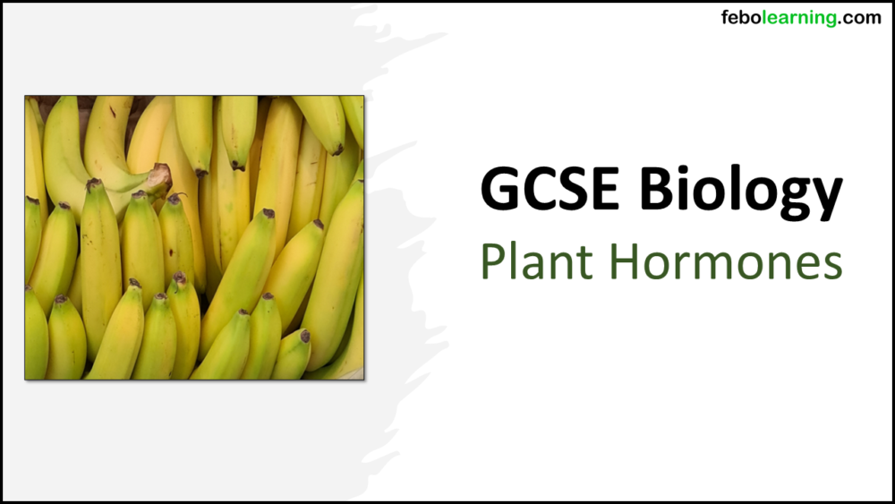GCSE Biology Topic 5: Plant Hormones title slide