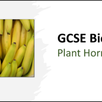 GCSE Biology Topic 5: Plant Hormones title slide