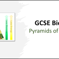 Title Pyramids of Biomass GCSE Key Stage 4 Troilo
