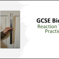 GCSE Biology Topic 5: Reaction Times Practical TITLE SLIDE