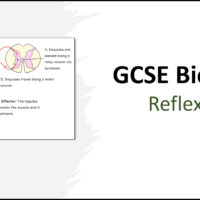 GCSE Biology Topic 5: Reflexes Title Slide