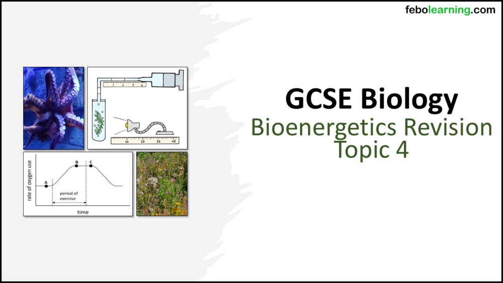 GCSE Biology Topic 4: Revision Bioenergetics Title Slide