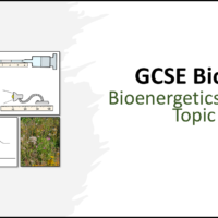 GCSE Biology Topic 4: Revision Bioenergetics Title Slide