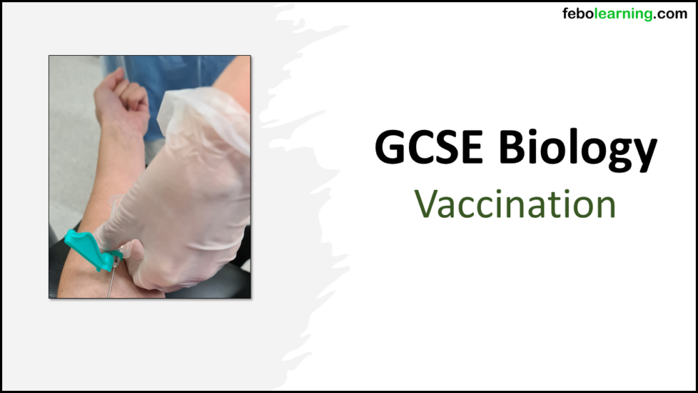 GCSE Biology Topic 3: Vaccination Title Slides