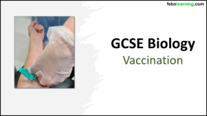 GCSE Biology Topic 3: Vaccination Title Slides