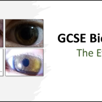 GCSE Biology Topic 5: The Eye