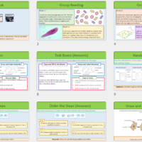 Year-7 Biology Cells Unicellular Organisms Lesson Slide Thumbnails