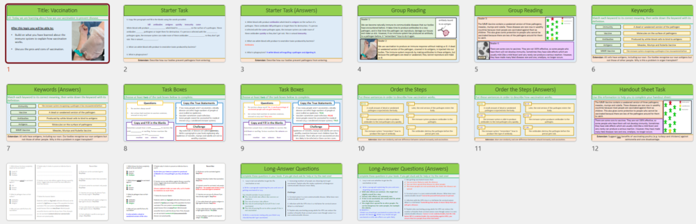 Lesson Slide Thumbnails