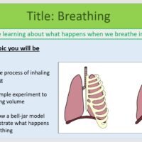 Year-7 Biology Body Systems Breathing Lesson Objectives