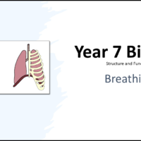 Year-7 Biology Body Systems Breathing Title