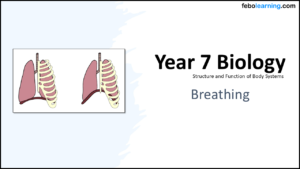 Link to next lesson: Breathing