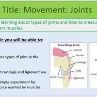 Year-7 Biology Body Systems Joints Lesson Objectives