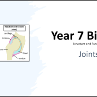 Year-7 Biology Body Systems Joints Title