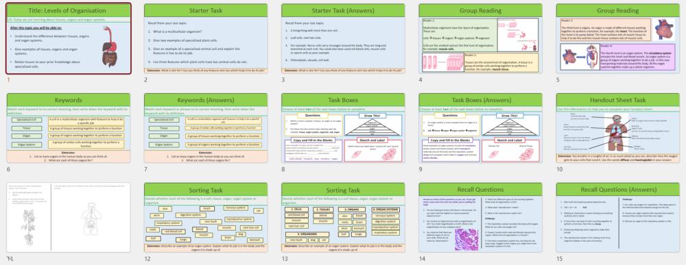 Year-7 Biology Body Systems Levels of Organisation Lesson slide thumbnails