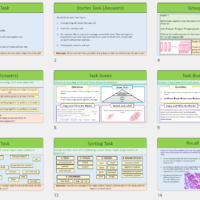 Year-7 Biology Body Systems Levels of Organisation Lesson slide thumbnails