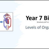 Year-7 Biology Body Systems Levels of Organisation Title