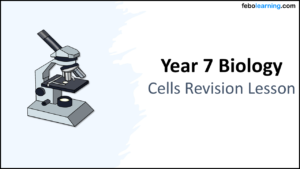 Year-7 Biology Cells End of Topic Revision Title