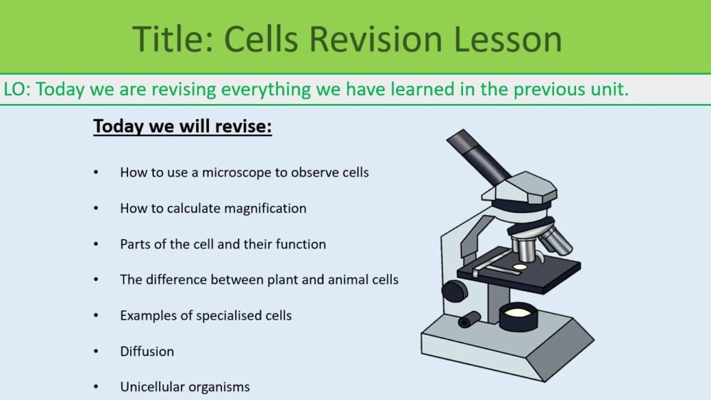 Year-7 Biology Cells End of Topic Revision lesson objectives