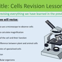Year-7 Biology Cells End of Topic Revision lesson objectives
