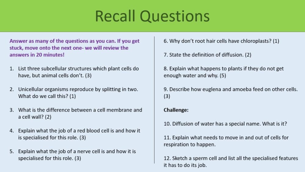 Revision recall questions