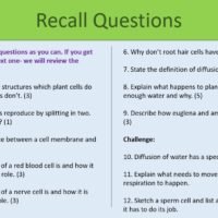 Revision recall questions