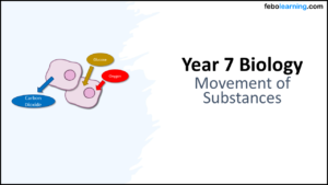 Year-7 Biology Cells Movement of Substances TITLE