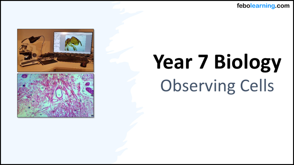 Year-7 Biology Cells Observing Cells Title