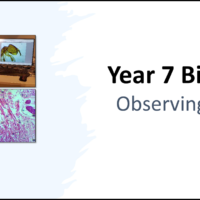 Year-7 Biology Cells Observing Cells Title